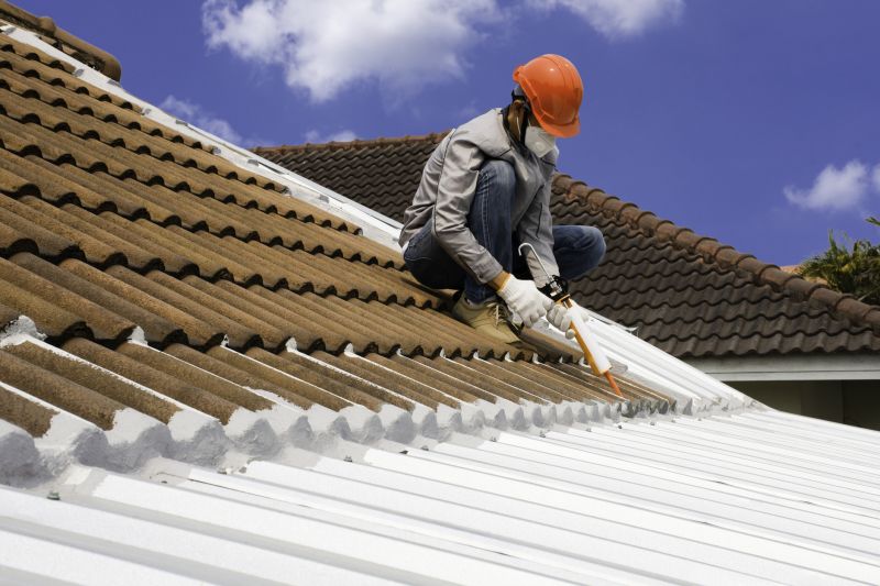 Professional Roofing in Action